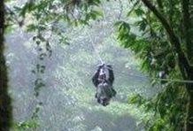 Zip Line Adventure at The Flower´s Route